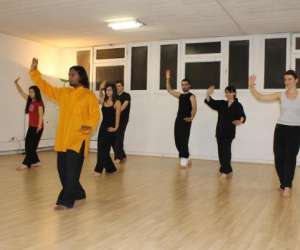 photo Association paris kung-fu - taichi et qigong Vincennes 9752