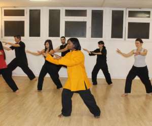 Association Paris Kung-fu - Taichi Et Qigong