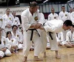 photo Shorinji kempo secvaugirard Paris 6eme Arrondissement 8508