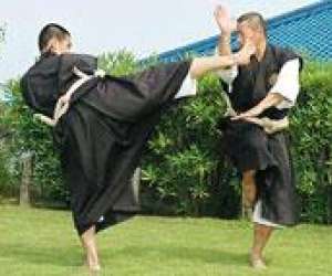 photo Shorinji kempo secvaugirard Paris 6eme Arrondissement 8509