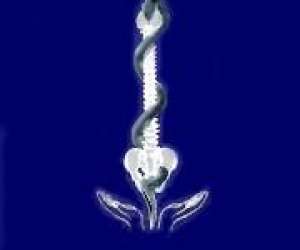 photo Brice berino osteopathe d.o.  neuilly-les sablons Neuilly Sur Seine 8847