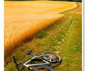 photo Location vtt fontainebleau La Genevraye 9614