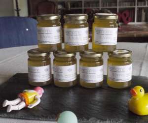 photo Beehome guest house paris Paris 17eme Arrondissement 10372