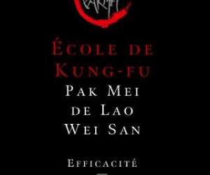 Lws Pak Mei - Ecole De Kung Fu A Paris