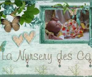 Creation De Bebes Reborns (poupes Ralistes)