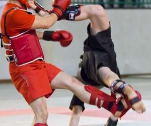 photo Kung-fu wushu val de juine Morigny Champigny 10462