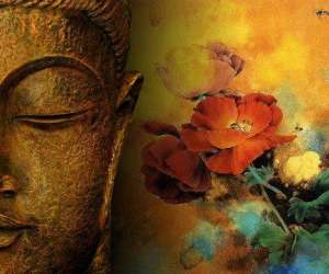Sois-zen.fr Sois-zen.fr