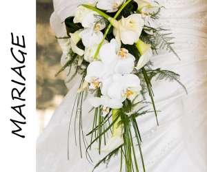 photo Christine soudan photographe Guerard 11469