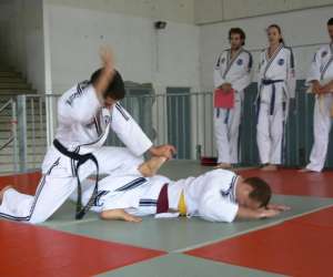 Hapkido Jin Jung Kwan