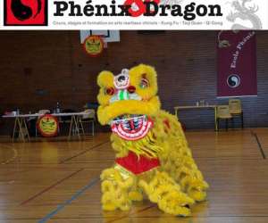 Ecole Phnix Et Dragon