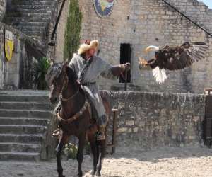 photo Les aigles des remparts - provins Provins 11645