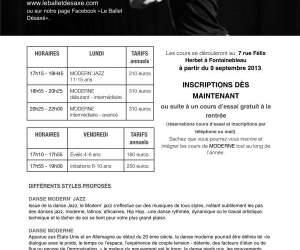 photo cole de danse du ballet dsax Fontainebleau 12056