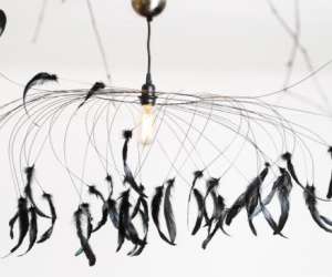 photo Plumavera Paris 12eme Arrondissement 12131