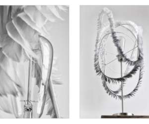 photo Plumavera Paris 12eme Arrondissement 12132