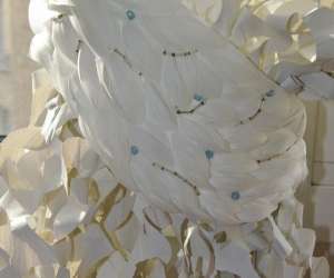 photo Plumavera Paris 12eme Arrondissement 12136