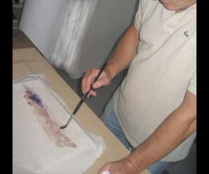photo Cours & stages dessin & peinture  Charenton Le Pont 12222