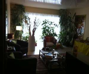 photo Caroline poulet   ostopathe dfo Paris 15eme Arrondissement 12232