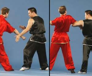 photo Kung-fu le pecq Le Pecq 2443