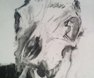 photo Artmedium cours de dessin illimit Paris 5eme Arrondissement 12818