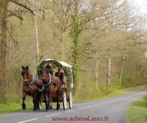 Promenade En Calche