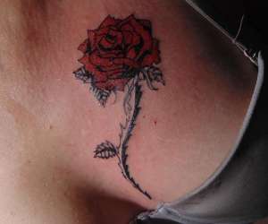 photo Foxtrott tatouage Morangis 14804