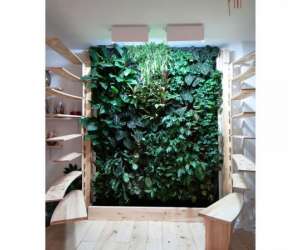 photo Les jardins de babylone   -   paysagiste paris -  Paris 2eme Arrondissement 15117