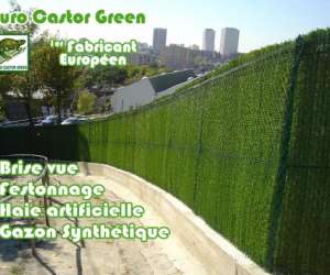 Euro castor green Euro castor green