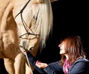 Promenades A Cheval Pour Tous