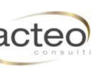 Acteo consulting