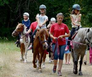 Les Roches Nature Et Aventure 