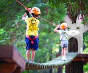 photo Jumping forest Laval En Brie 16215