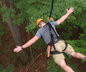 photo Jumping forest Laval En Brie 16216