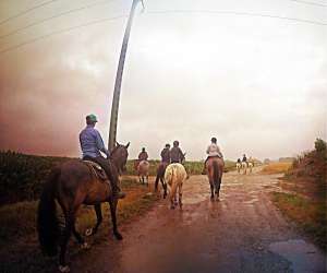 photo Ranch des grands soleils Pommeuse 16575