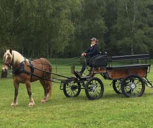 photo Haras de la cense Rochefort En Yvelines 16958