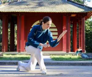 Wudang San Bao Tai Chi Chuan