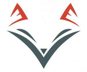 photo Fox dtectives Paris 8eme Arrondissement 17906