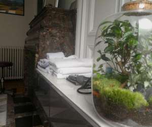 photo Florent albano - ostopathe paris15 Paris 15eme Arrondissement 18268