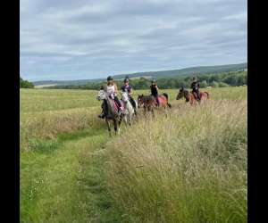 Les Destriers De Vaumartin