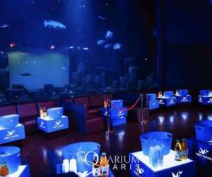 L'aquarium le club