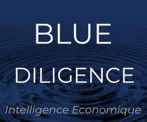 photo Blue diligence intelligence economique Paris 8eme Arrondissement 19750