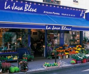 Atelier Java Bleue