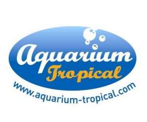 Aquarium tropical