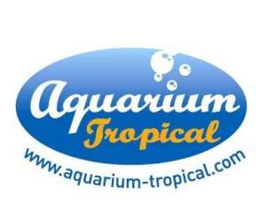 Aquarium Tropical