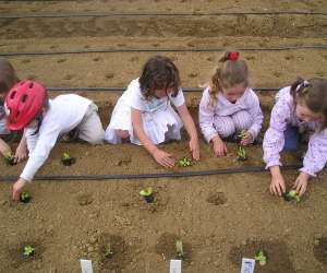 photo Au jardin de noisy Ville St Jacques 2579