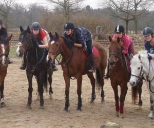 Centre Equestre De La Cartoucherie