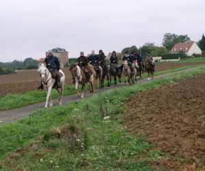 Les Ecuries De La Noue Les Ecuries De La Noue