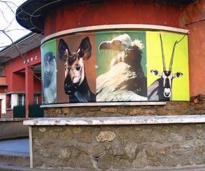 Parc Zoologique De Paris-vincennes