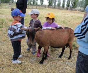 Ferme Pdagogique De Saint Hilliers