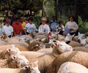 photo Ferme pdagogique de saint hilliers St Hilliers 10412