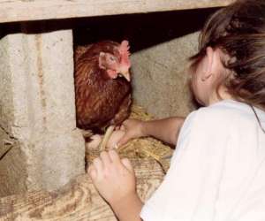 photo Ferme pdagogique de saint hilliers St Hilliers 10413